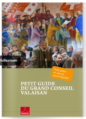 Petit guide du Grand Conseil