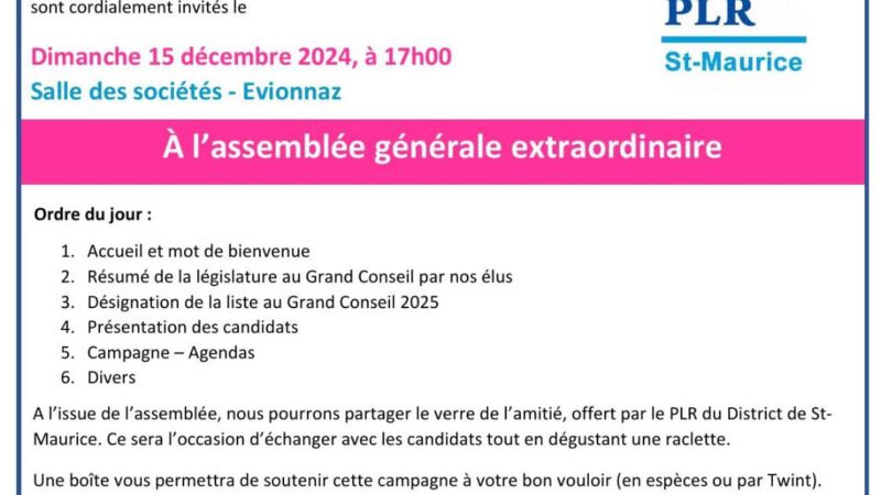 Désignation des candidats au Grand Conseil